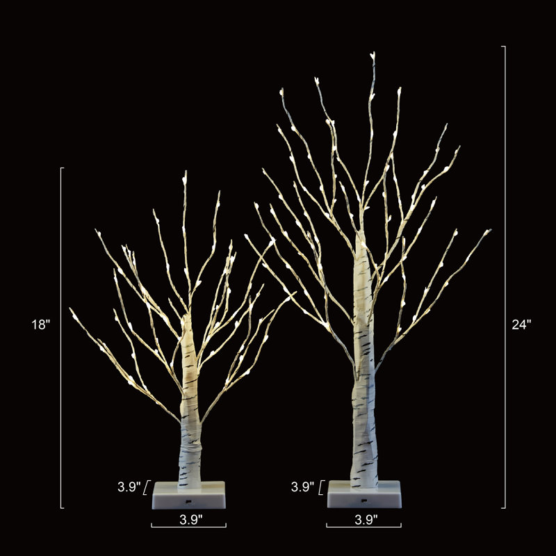 Bouleaux illuminés et branches