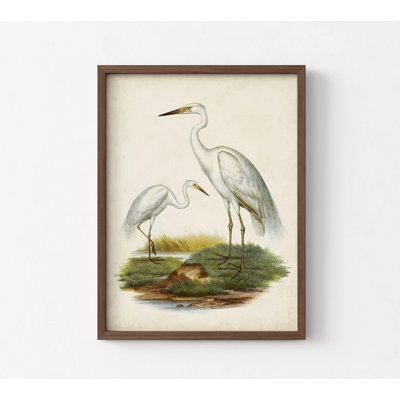 «Silas», reproduction d'affiche d'oiseaux blancs rétro, cadeau animal rétro pour idée de grand-père, affiche d'oiseaux d'eau blancs, art mural de chalet antique Lake