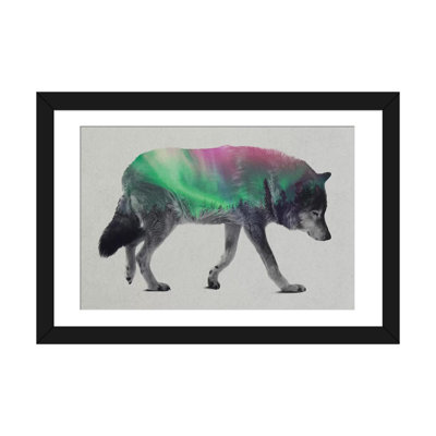 " Wolf " by Andreas Lie