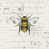Bee Script selected