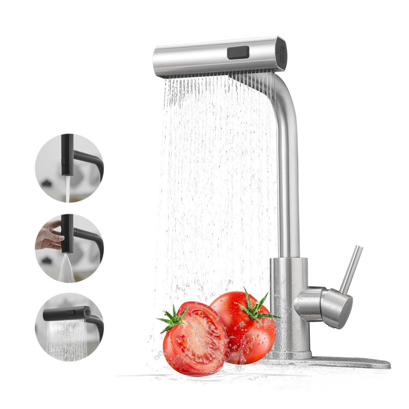 Kitchen Faucet with Pull Down Sprayer, Brushed