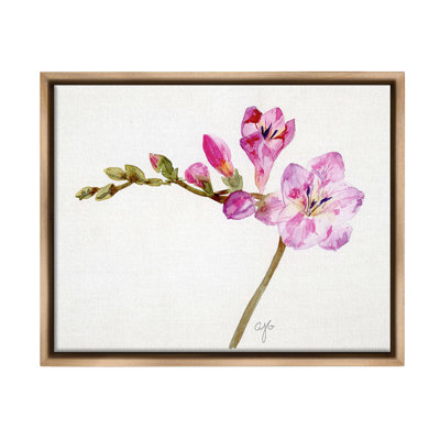 " Orchid Flower Sprig Floater Frame " by Alexandria Gilbert Kincaid