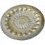 Decorative Tray