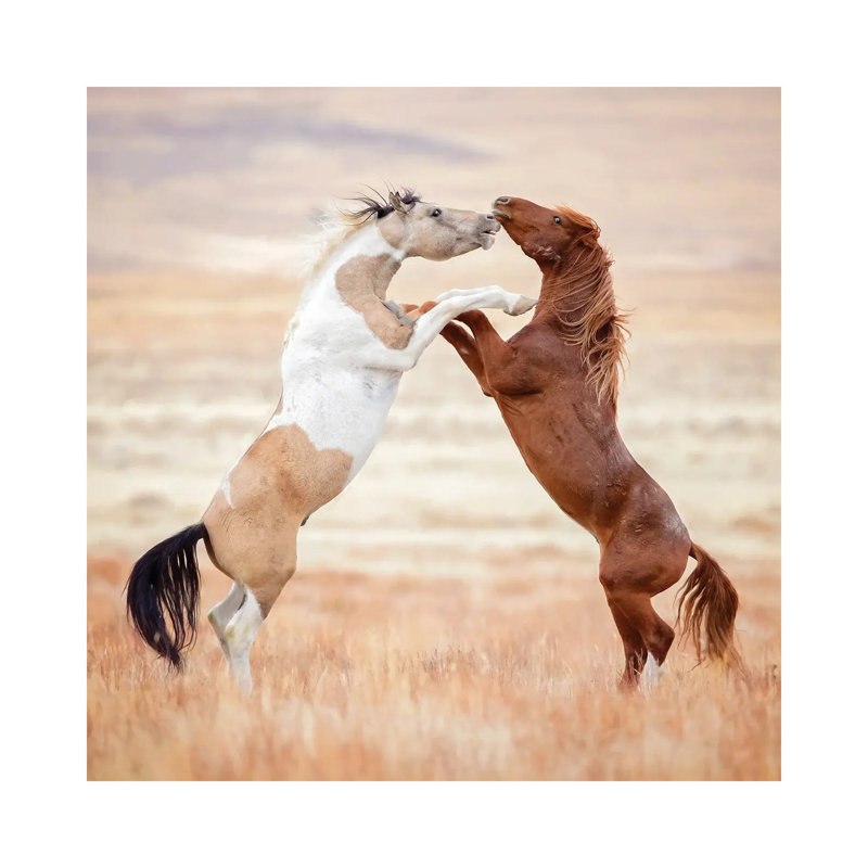 Collection Of Horses VIII by PHBurchett - Wrapped Canvas Print, 45.72 cm H x 45.72 cm W x 1.91 cm D
