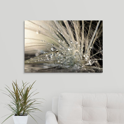 Straub " Pearls " by Maryam Zahirimehr