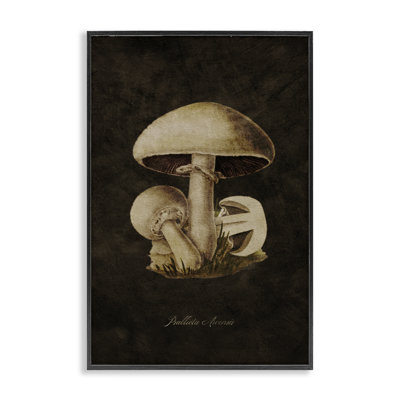Portobello Mushroom Study Giclee Art by Tina Higgins Designs, Inc.