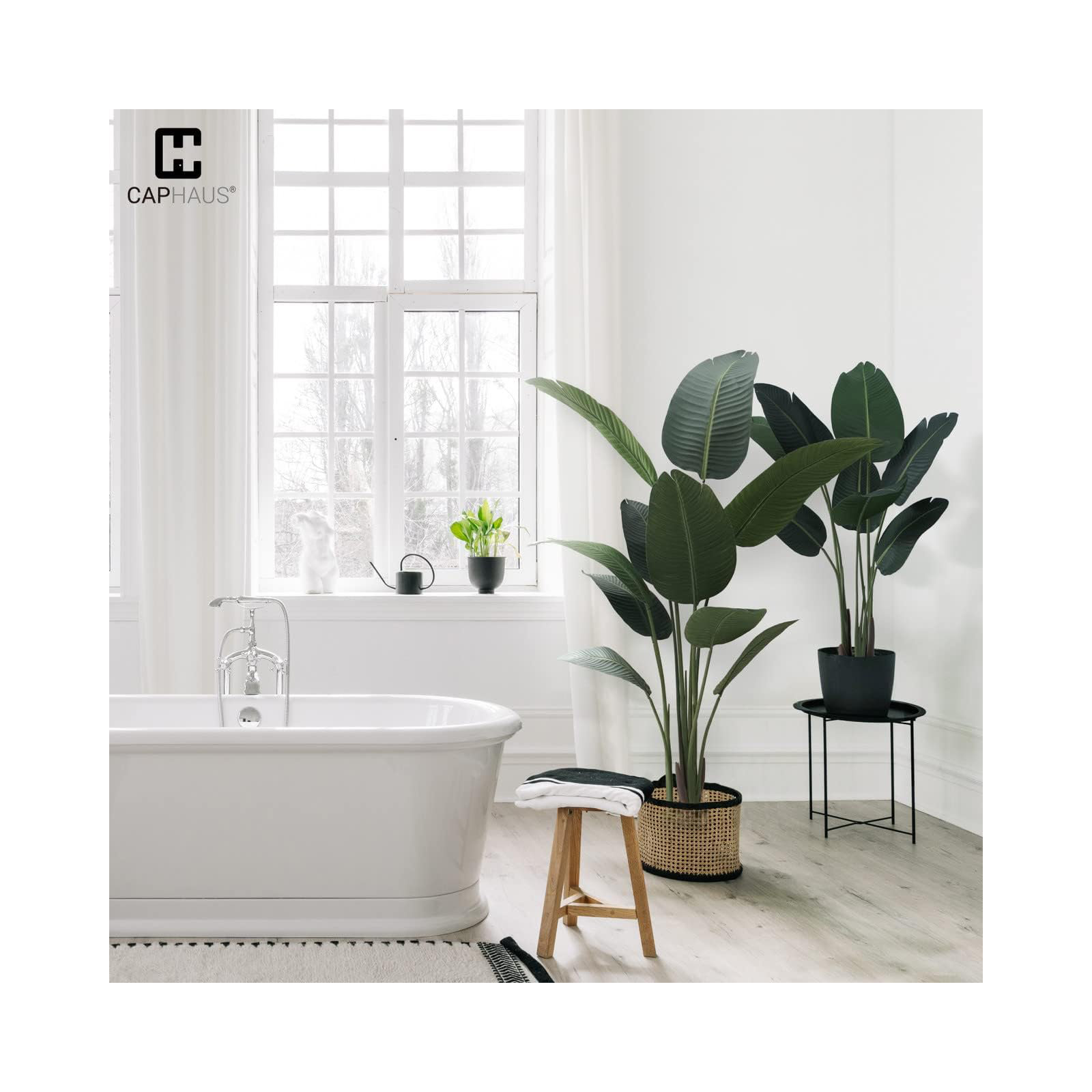Birch Lane™ Artificial Bird of Paradise in Pot with Dried Moss, UV Resistant, 4 / 5 / 6 / 7 Feet, 60" H x 6.5" W x 6.5" D