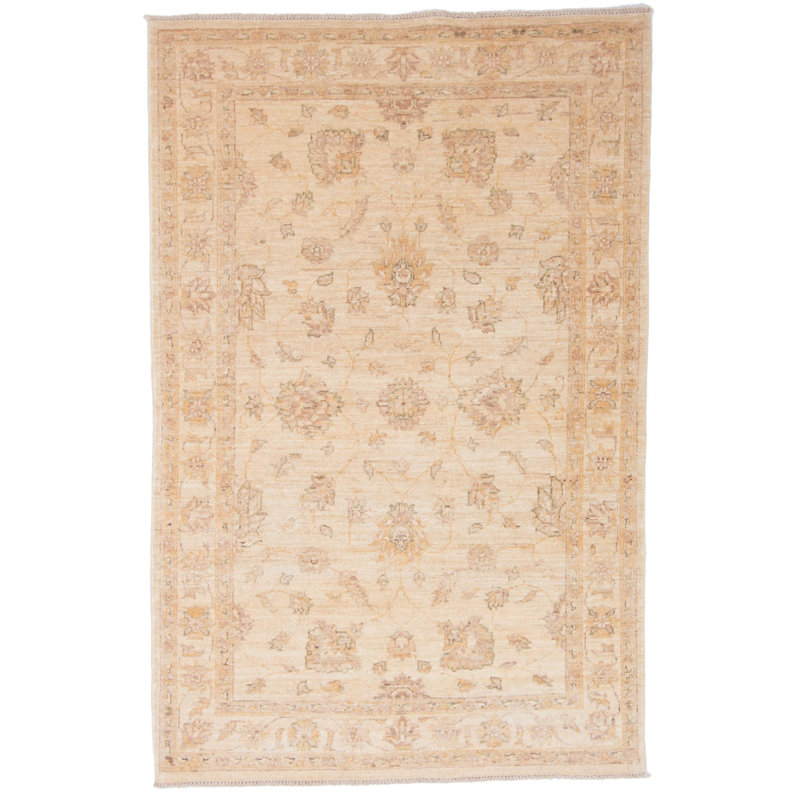 Additri Oriental Hand Woven 121cm X 184cm Area Rug