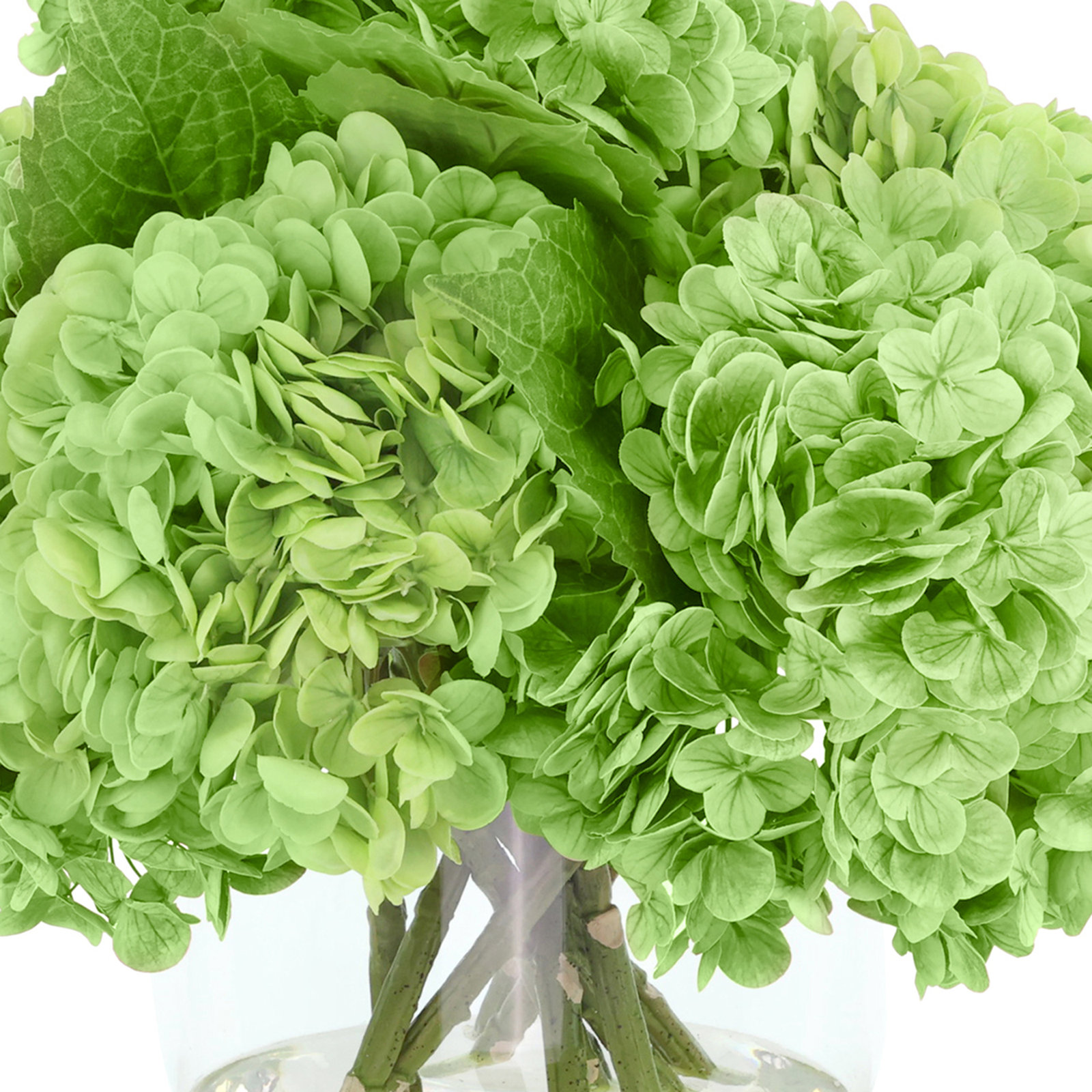 Lucretia Hydrangea Floral Arrangement, Green