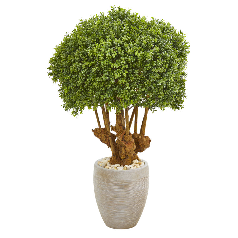 Topiaire buis artificiel en pot