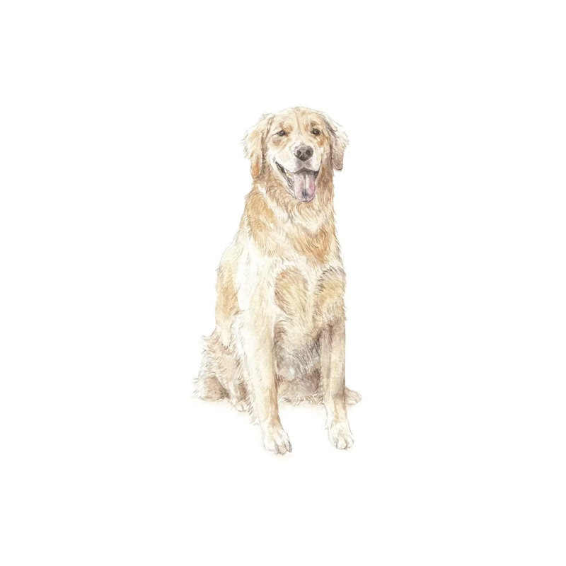 Golden Retriever 1 Piece Wrapped Canvas Painting, 20.32 cm H x 30.48 cm W