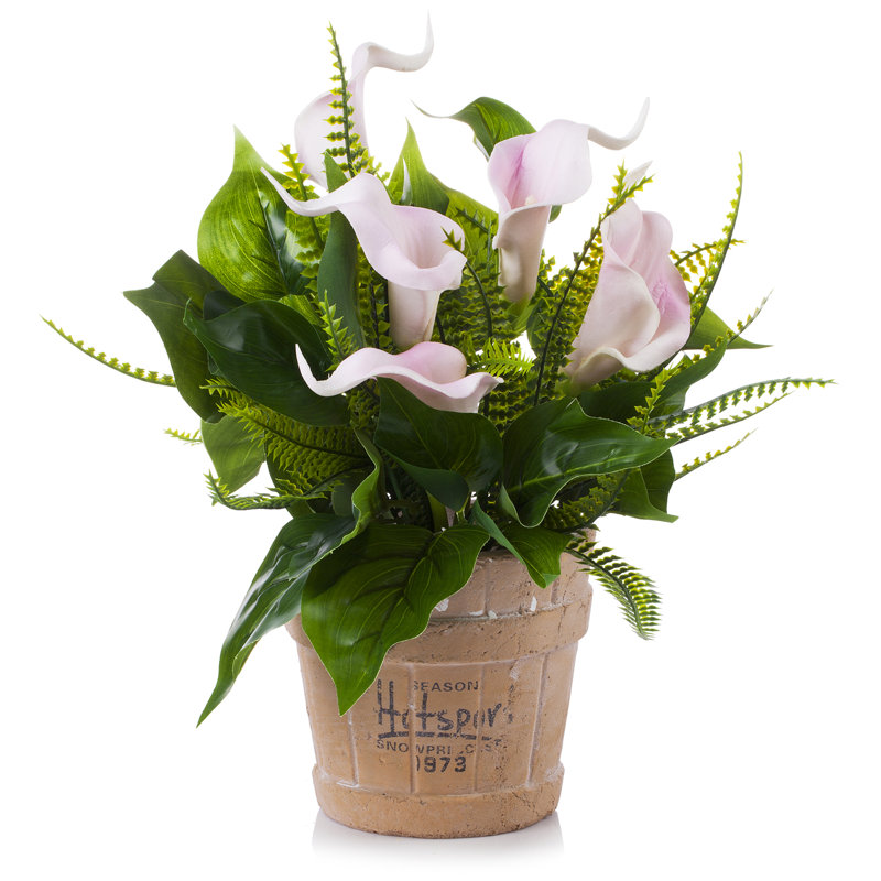 Arrangement floral de vrais lys en pot
