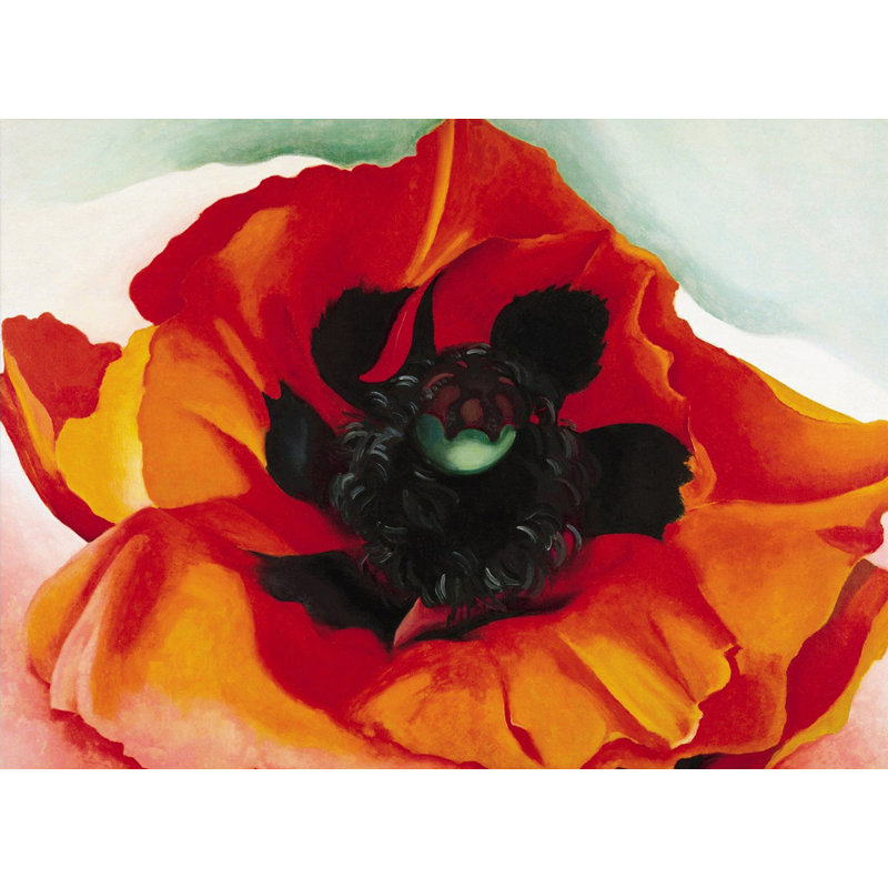 Coquelicot 4