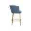 Upholstered Stool-1713706379