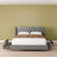 Lit rembourré en velours avec 4 tiroirs de rangement Better Home Products Izayah-812012295-812012411