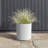 Demi Series Round Planter-83894856-83894852-86823200