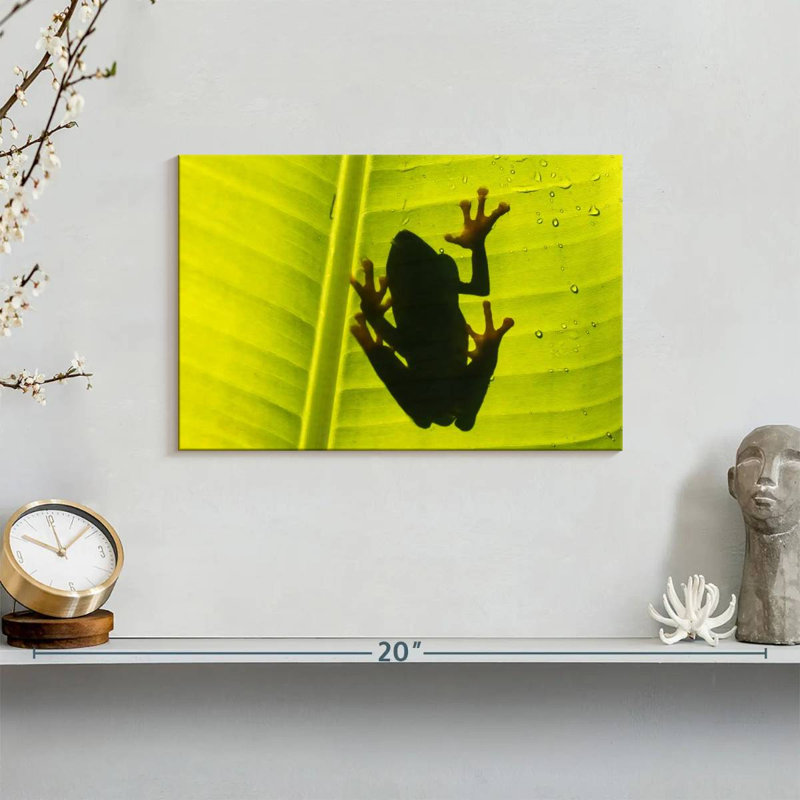 Frog On Leaf, 8" H x 12" W