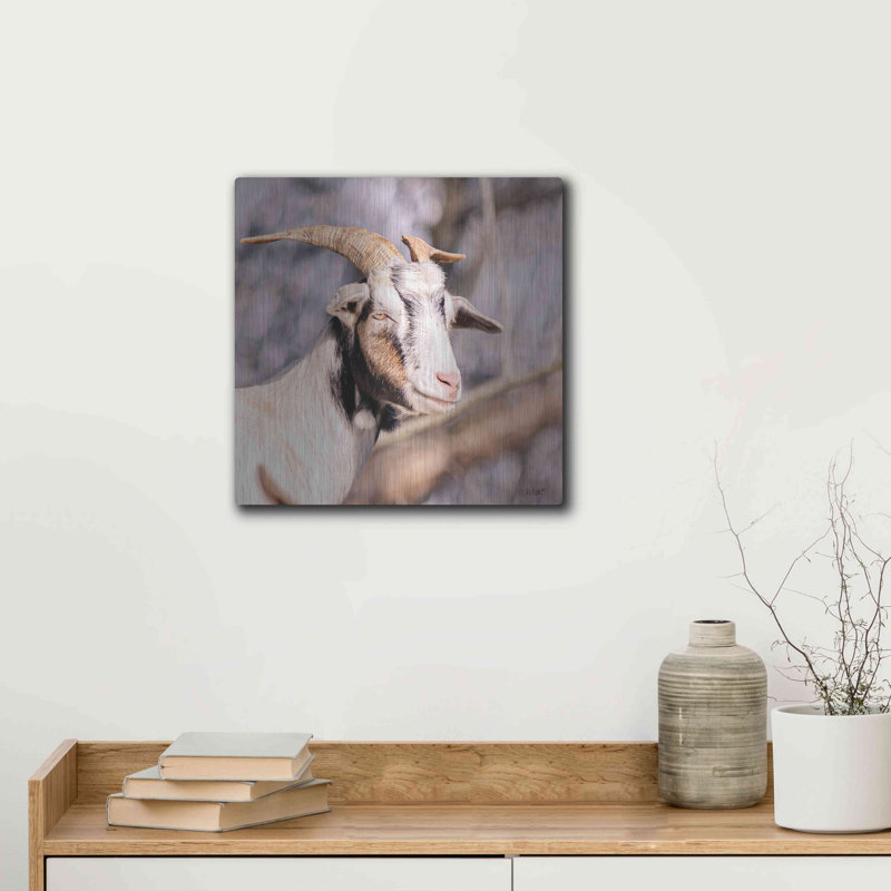 «Brown Goat» par Donnie Quillen, H 12 po x l 12 po