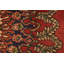 Tapis unique 10 pi 2 po x 12 pi 6 po Gellman