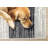 Fresno Grey Cream Black Modern Geometric Lines Area Rug-102211020