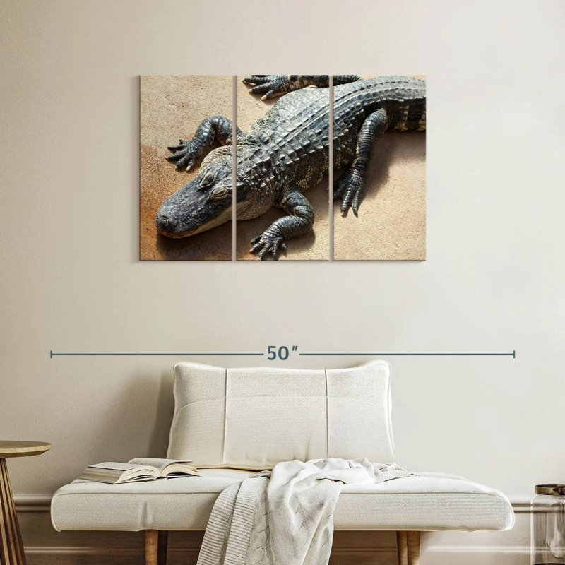 Alligator, 24" H x 38" W