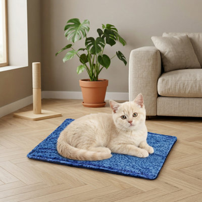Jouet pour chat à cache-cache pour chats d'intérieur ennuyé avec action flottante, nouvellement amélioré, vert
