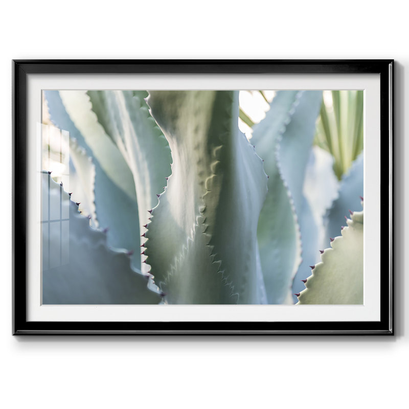 Blue Agave II, impression sur papier encadrée, Noir, H 19 po x l 27 po x P 1,5 po