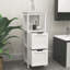 Armoire de salle de bain avec 2 tiroirs et tablette