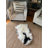 Brianni Indoor Rug