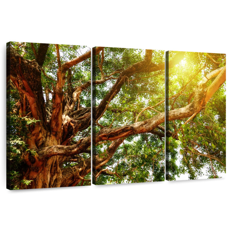 Arbre Bodhi géant Harnek, H 48 po x l 74 po