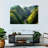 Alvord Rural Rice Terraces-107886883