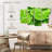Yarlin Lime Slices-108904903