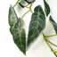 110cm Faux Plant