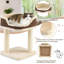 Toccoa Cat Perch-902831688
