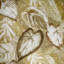 Pepper Glass Bead Finish Ficus Leaf Vita Wallpaper Roll-545271992