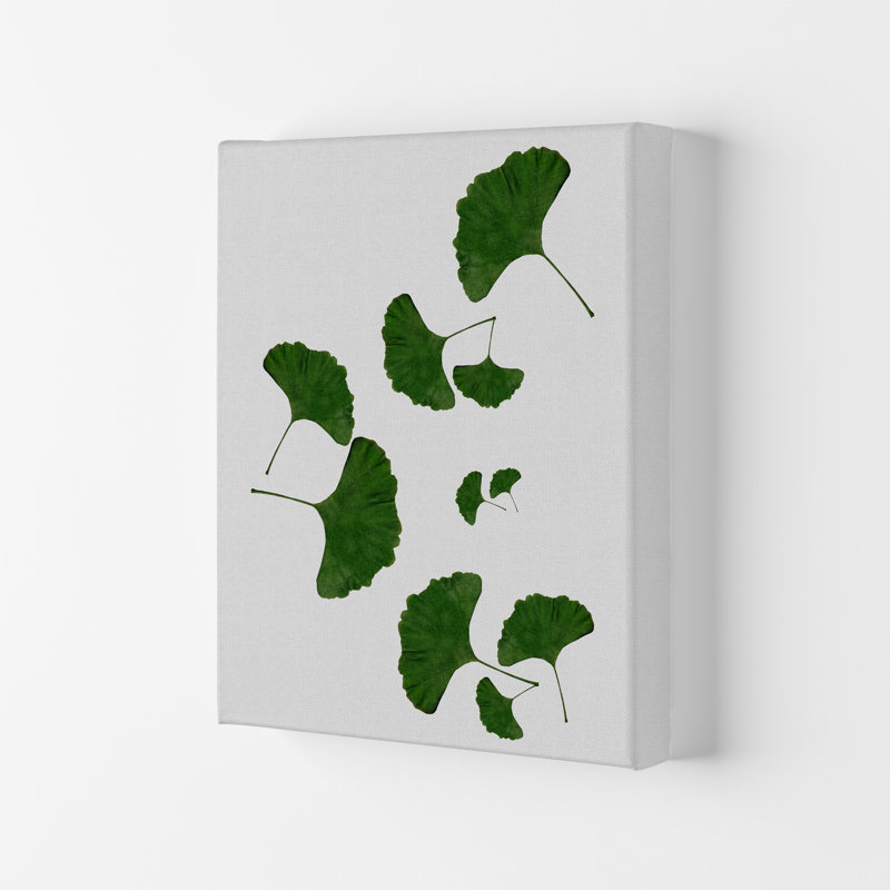 Ginkgo Leaf I - Print, 42cm H x 29.7cm W x 4cm D, Wrapped Canvas