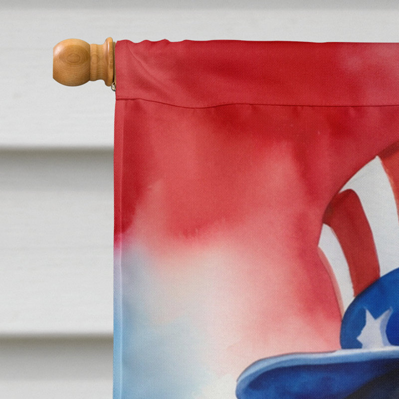 Drapeau patriotique de la maison américaine, Retriever à poil plat