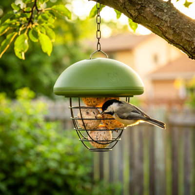 Suet Ball Bird Feeder Outdoor Hanging Fat Ball Feeders