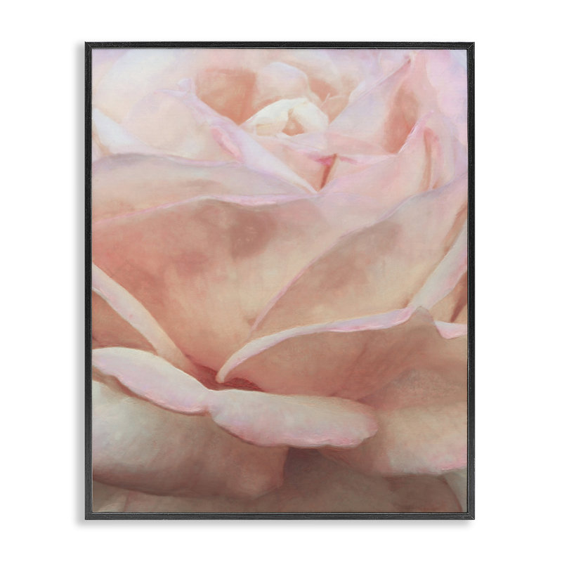 Doux pétales de rose par Alonzo Saunders bg-076, Giclée encadrée noir minuit, H 20 po x l 16 po