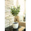 28'' Faux Olive Tree Tree in Pot