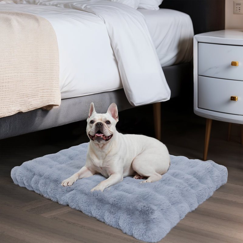 Dog Bed, 10cm H x 76cm W x 51cm D, Grey