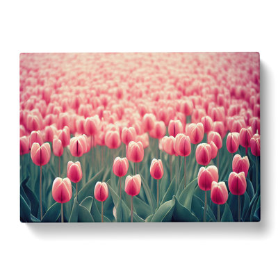 Brilliant Tulip Flowers - Wrapped Canvas