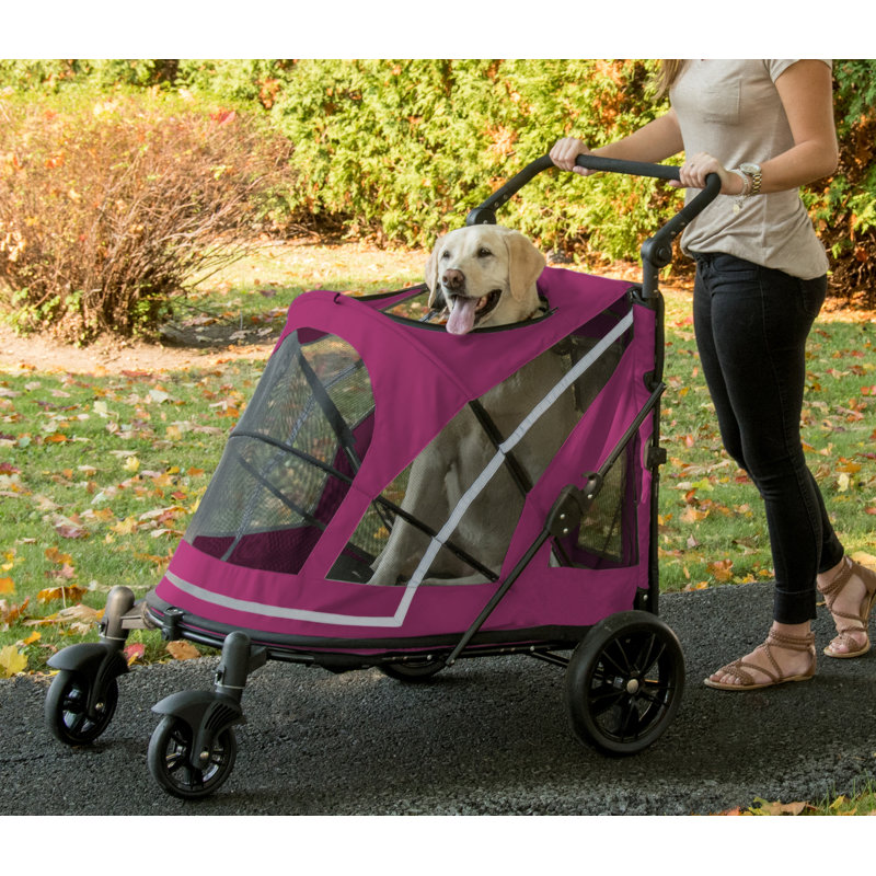 Foldable Pet Stroller, Purple