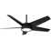 58'' 5 - Blade Outdoor LED Smart Standard Ceiling Fan with Remote Control and Light Kit Included