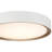 Courtois Acrylic Flush Mount-130388914-130388912-130388927