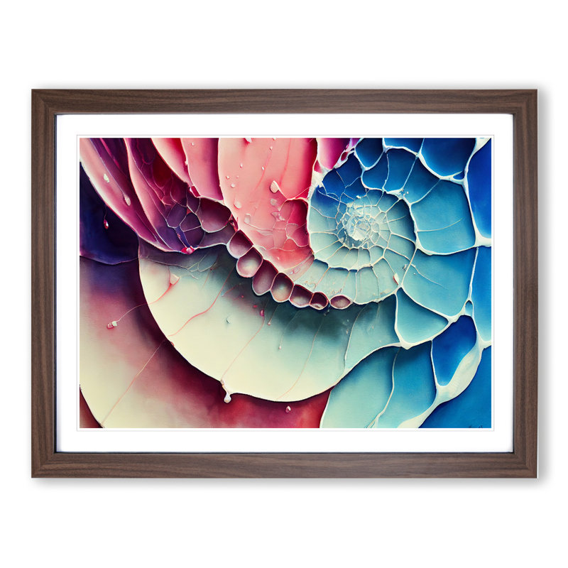 Seashell Vol.1 Abstract - Single Picture Frame Print, 34cm H x 46cm W x 2cm D, Walnut