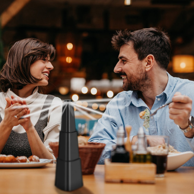 Portable Reflective Fly Repellent Fan