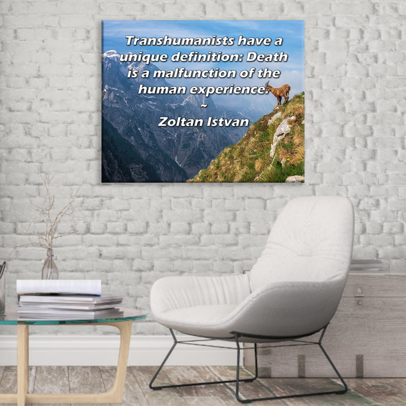 Toile tendue de la galerie ArtsyQuotes par Zoltan istvan: «Les transhumanistes ont une définition unique: la mort est un mauvais fonctionnement de l'expérience humaine».
