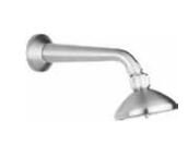 Adjustable Shower Head with Arm