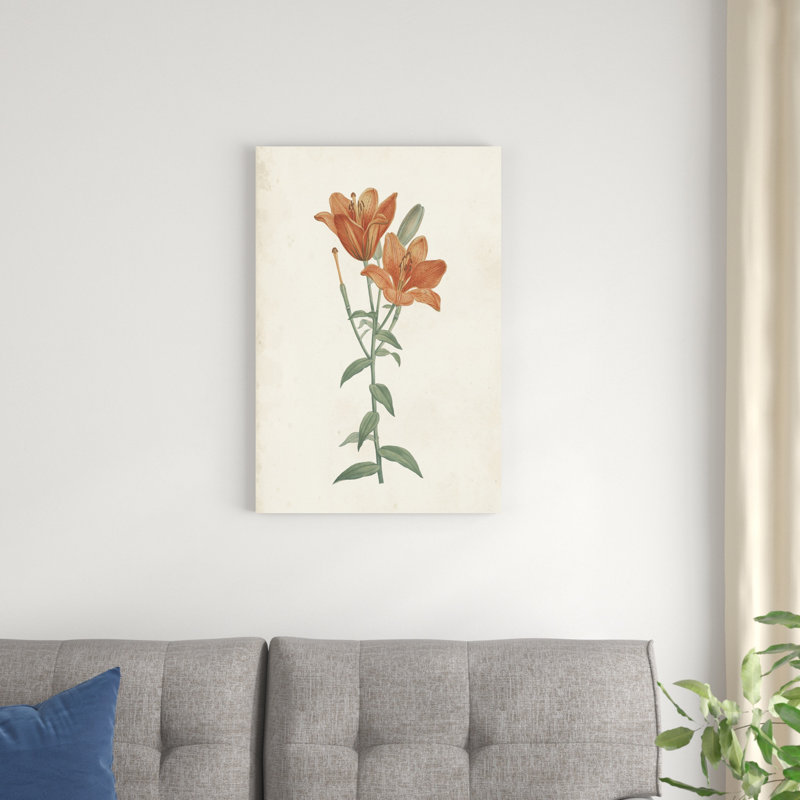 Classic Botanicals V, H 30 po x l 20 po